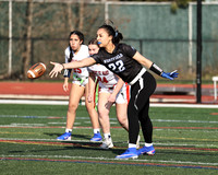 WHS_flag_fb-8