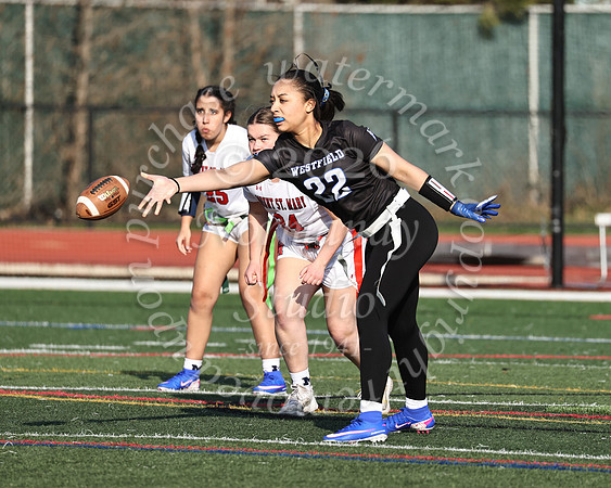WHS_flag_fb-8