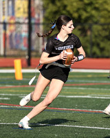 WHS_flag_fb-9