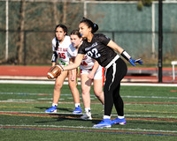 WHS_flag_fb-7