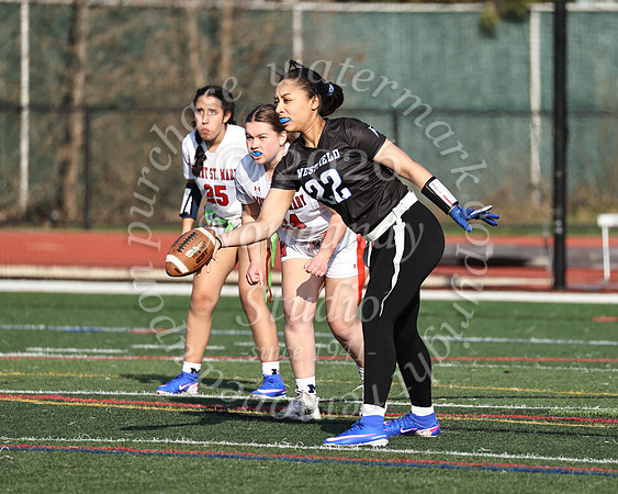 WHS_flag_fb-7