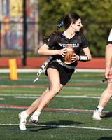WHS_flag_fb-10