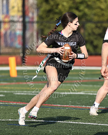 WHS_flag_fb-10