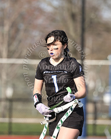 WHS_flag_fb-13