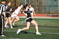 WHS_flag_fb-11