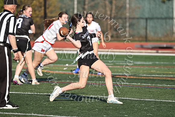 WHS_flag_fb-11