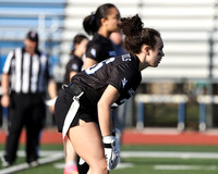 WHS_flag_fb-15