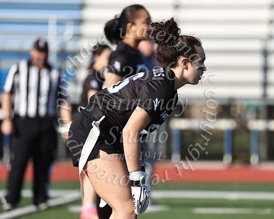 WHS_flag_fb-15
