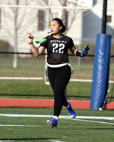 WHS_flag_fb-17
