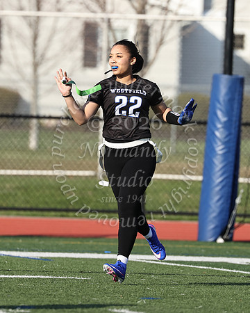 WHS_flag_fb-17