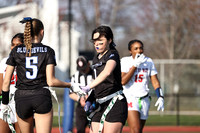 WHS_flag_fb-14
