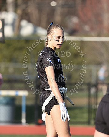 WHS_flag_fb-16