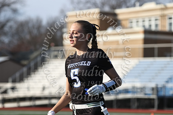 WHS_flag_fb-18