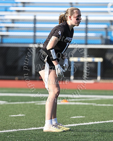 WHS_flag_fb-19