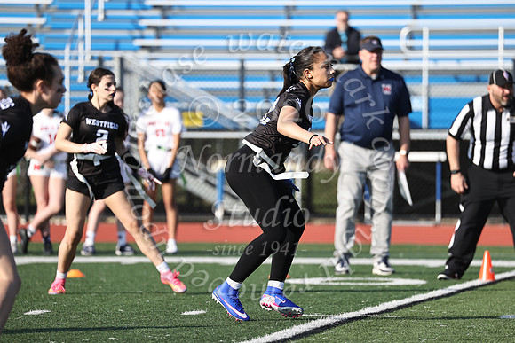 WHS_flag_fb-20