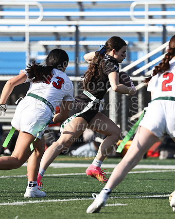 WHS_flag_fb-24