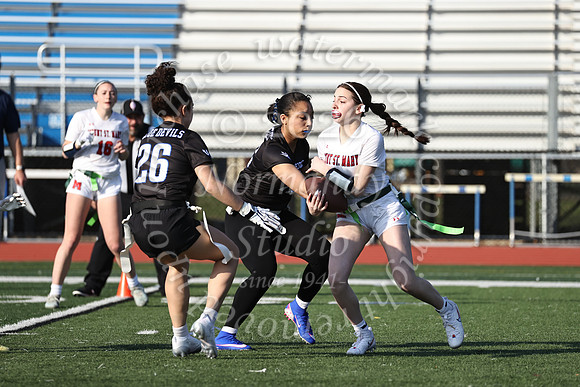 WHS_flag_fb-21