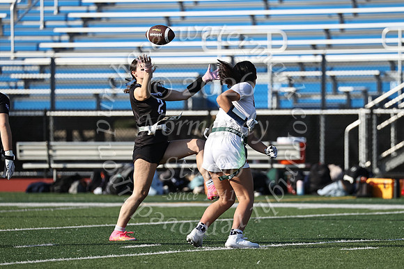 WHS_flag_fb-23