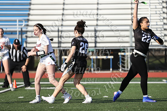WHS_flag_fb-22