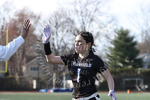 WHS_flag_fb-26