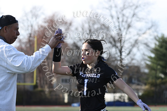 WHS_flag_fb-27