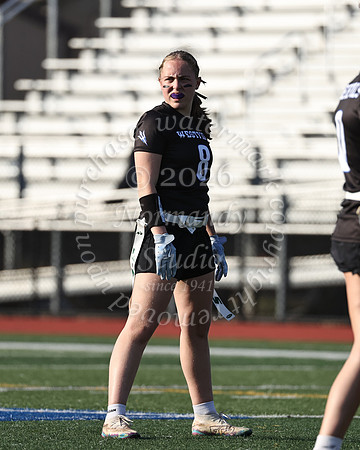 WHS_flag_fb-33