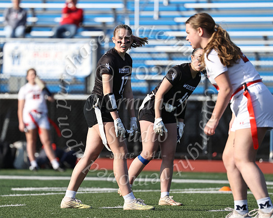 WHS_flag_fb-32