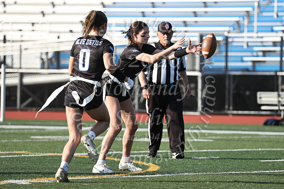 WHS_flag_fb-35