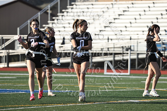 WHS_flag_fb-31