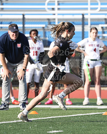WHS_flag_fb-37