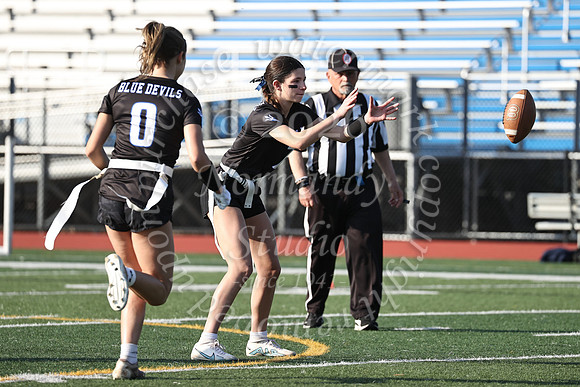 WHS_flag_fb-34