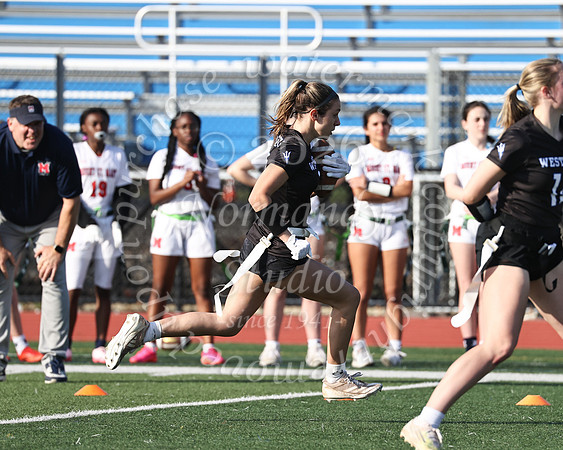 WHS_flag_fb-38