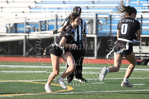 WHS_flag_fb-36