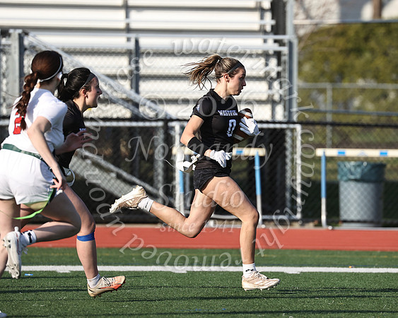 WHS_flag_fb-40