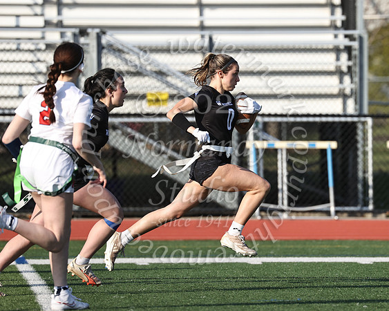 WHS_flag_fb-39
