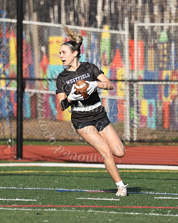WHS_flag_fb-44