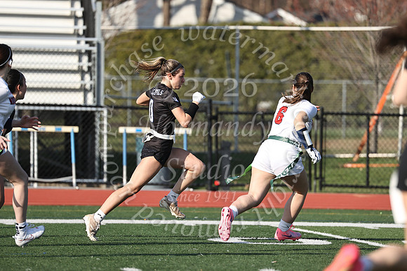 WHS_flag_fb-41