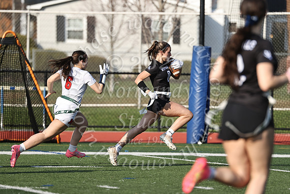 WHS_flag_fb-42