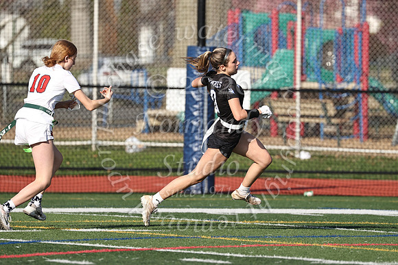 WHS_flag_fb-43
