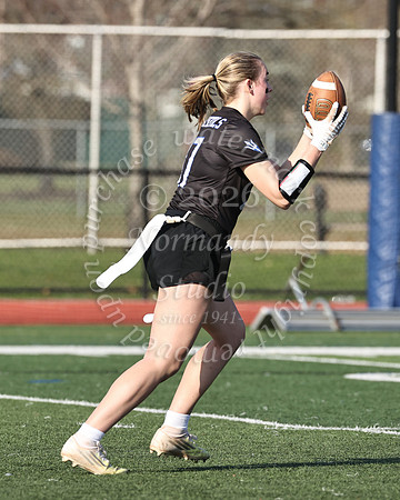 WHS_flag_fb-48