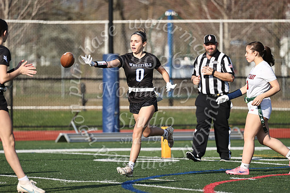 WHS_flag_fb-45