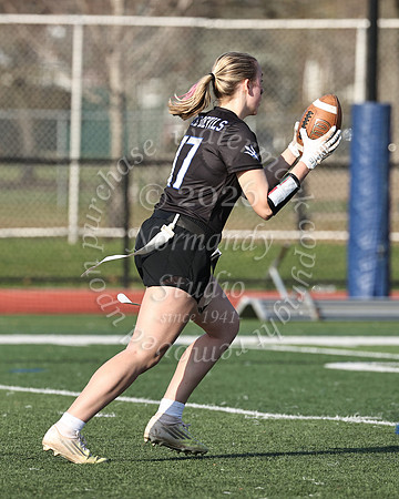 WHS_flag_fb-49