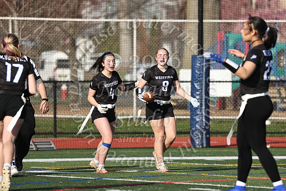 WHS_flag_fb-51