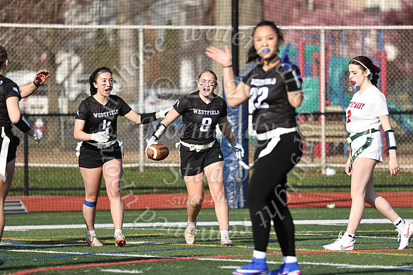 WHS_flag_fb-52