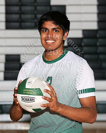 RDG_vb_v_ind_5