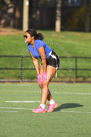 SPF_flag_fb_41