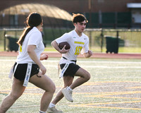 WTG_unified_flagfb_3