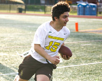 WTG_unified_flagfb_5