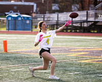WTG_unified_flagfb_14