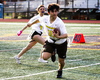 WTG_unified_flagfb_12